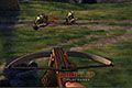 Horde Siege