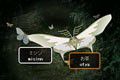 夜の森