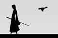 Armed with Wings