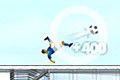 Skyline Soccer